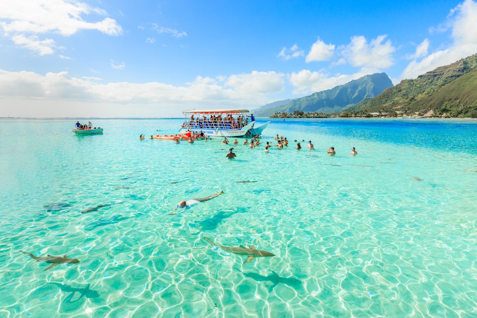 Papeete , French Polynesia - MAY 11, 2017: The Tourists stay on speedboat after swimming and feeding Sharks and Stingrays in beautiful sea at Moorea Island, Tahiti Papeete , French Polynesia.