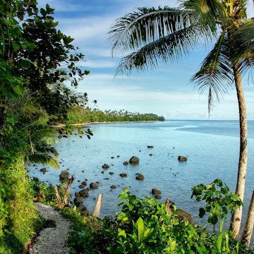 Ocean view along Lavena Costal Walk on Taveuni Island, Fiji. Taveuni is the third largest island in Fiji.