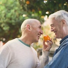 Senior mature older gay male couple on vacation, honeymoon, or relaxing weekend, holding each other and affectionately looking at a freshly picked orange, standing in front of beautiful orange trees.