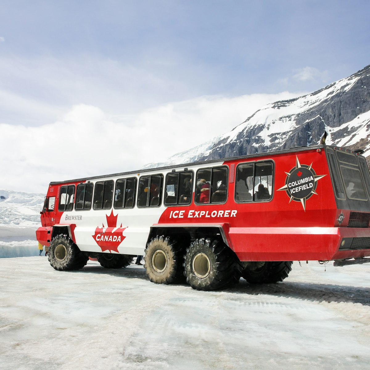 June 7, 2015: The red-white snowcoatch bus carrying tourists to Athabasca Glacier.