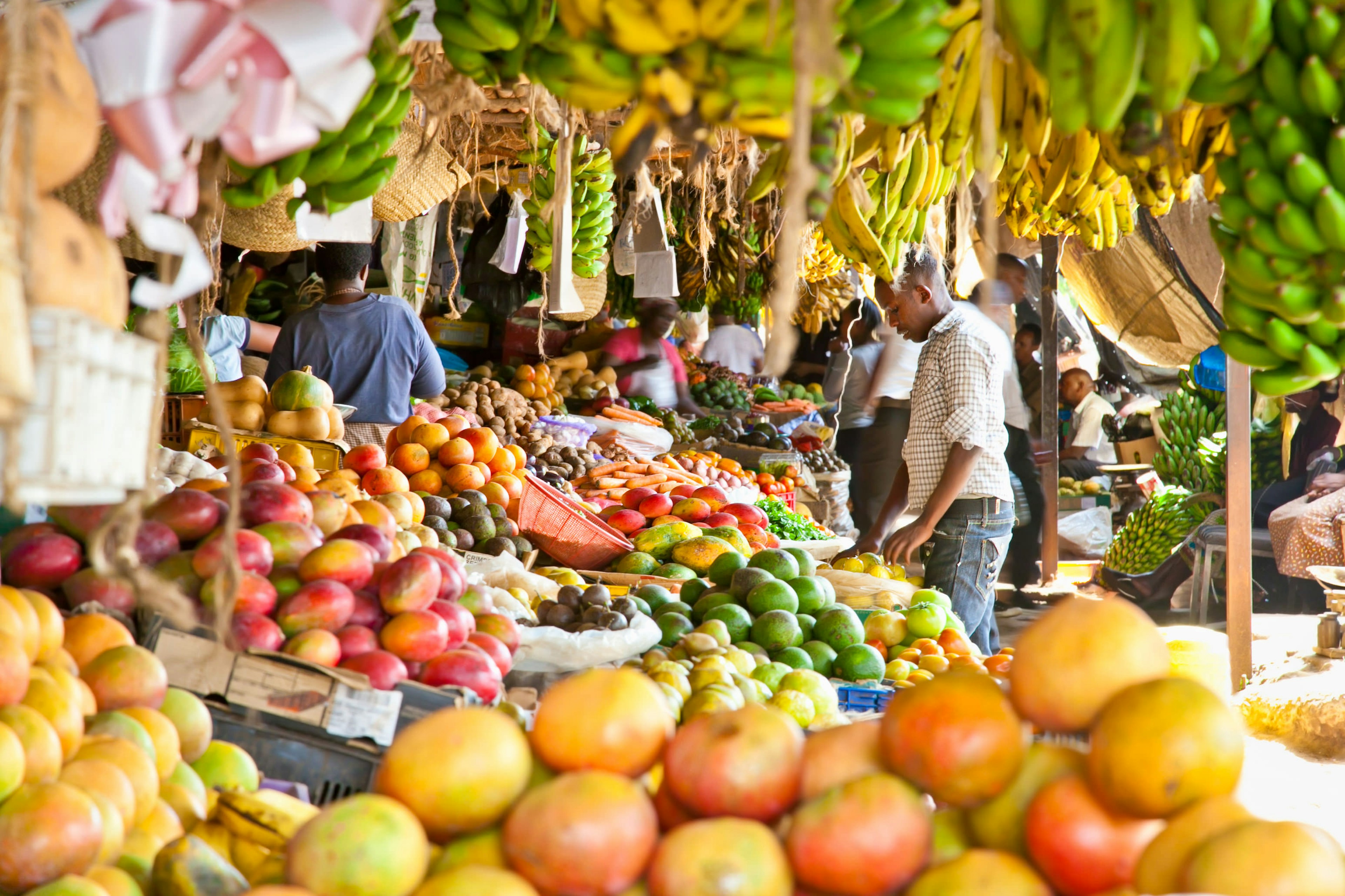 A man looks at the ripe fruits stacked at a local fruit and vegetable market in Nairobi, Kenya