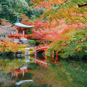 Autumn at Daigoji Temple in Kyoto, Japan