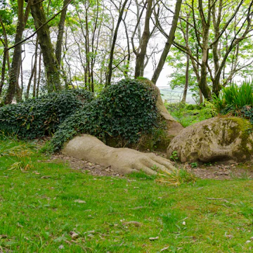 Laying down Giant at the Lost gardens of Heligan, Cornwall, England