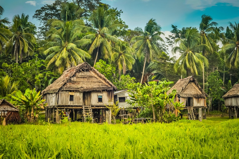 Simple houses made of straw, wood and bamboo surrounded by greenery in Palembe, Sepik river in Papua New Guinea.