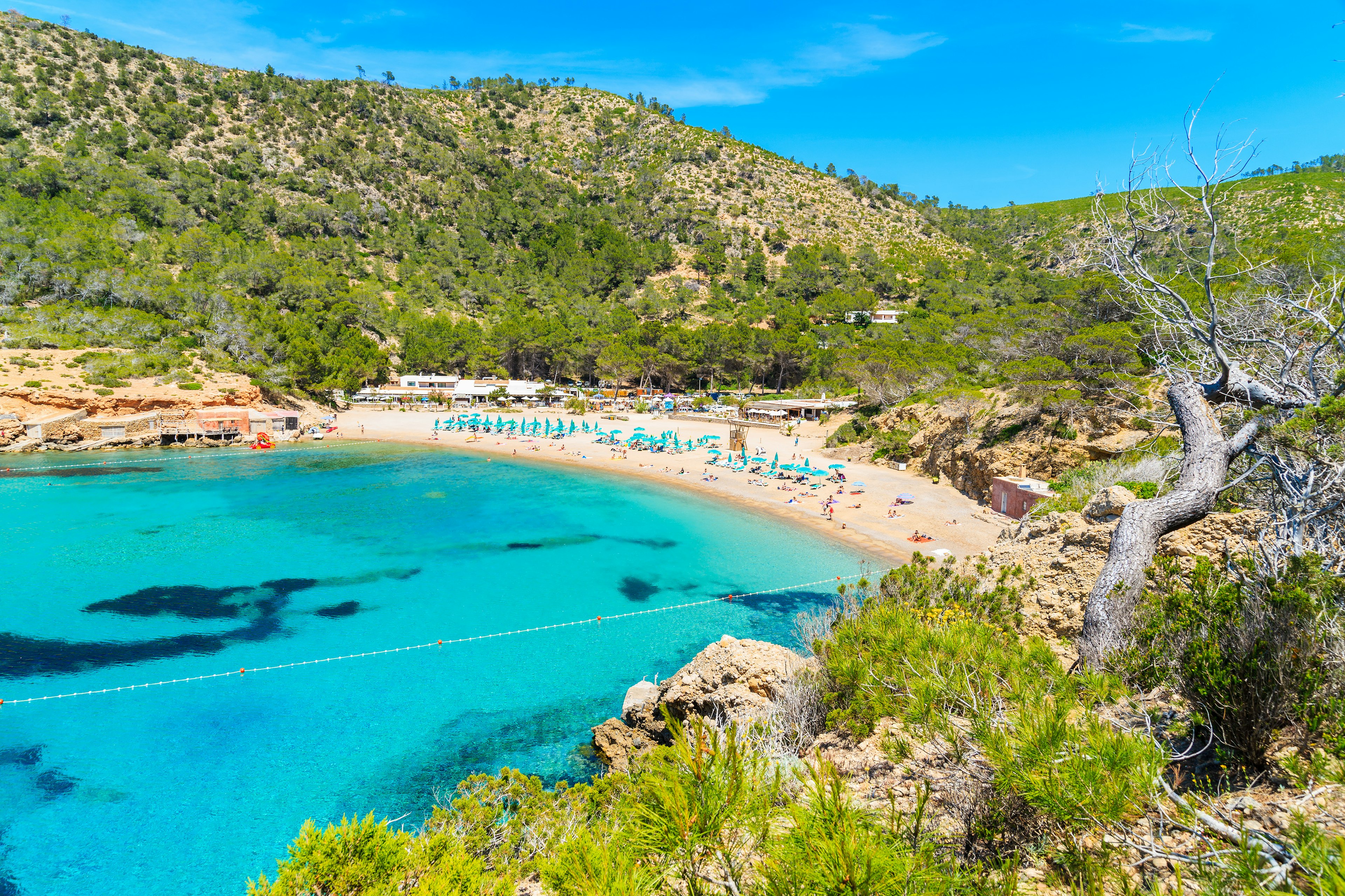 A wide shot of people spreading out on the sand under umbrellas on Cala Benirrás, as turquoise waters lap the beach