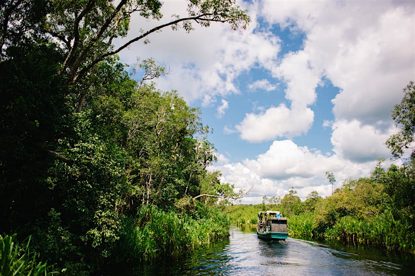 Klotok (perahu sungai tradisional) menyusuri sungai di Taman Nasional Pudding Tanjong