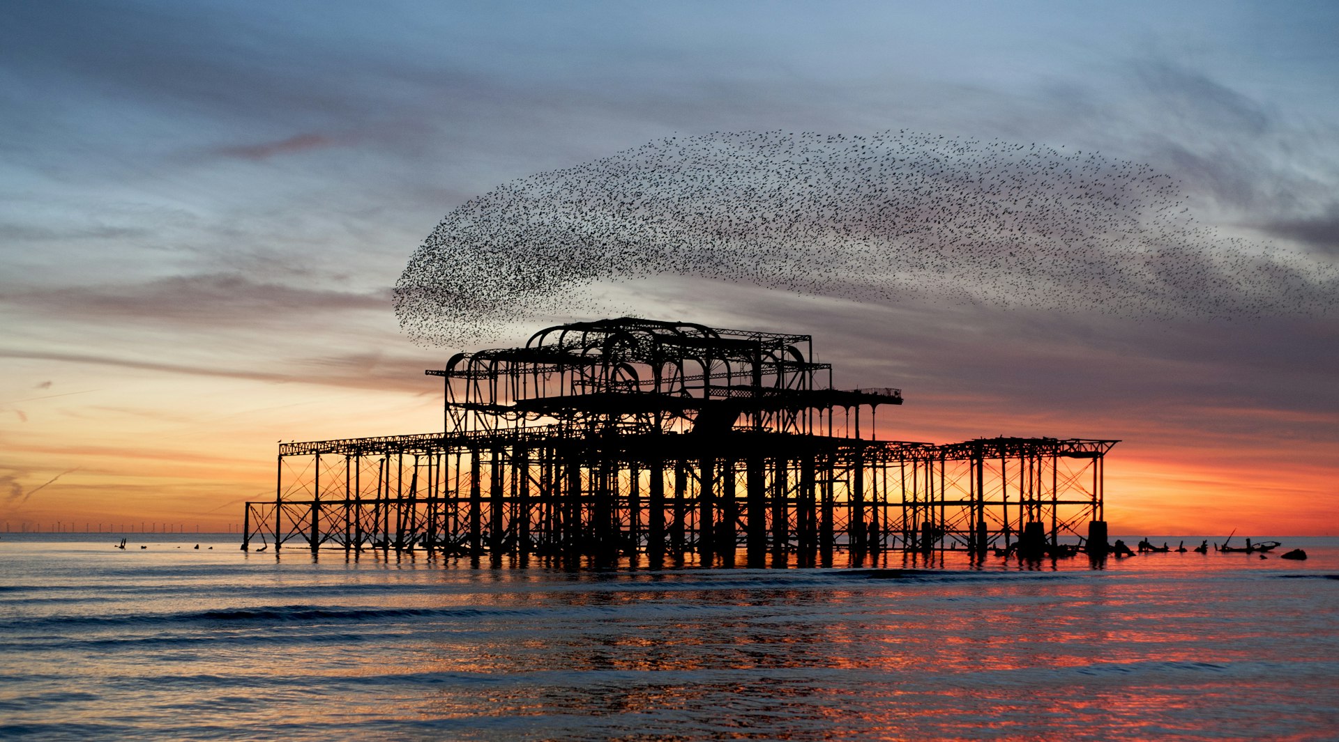 Murmuration (collective fluid movement of a flock of starlings) over the ruins of Brighton and Hove's West Pier during sunset.
