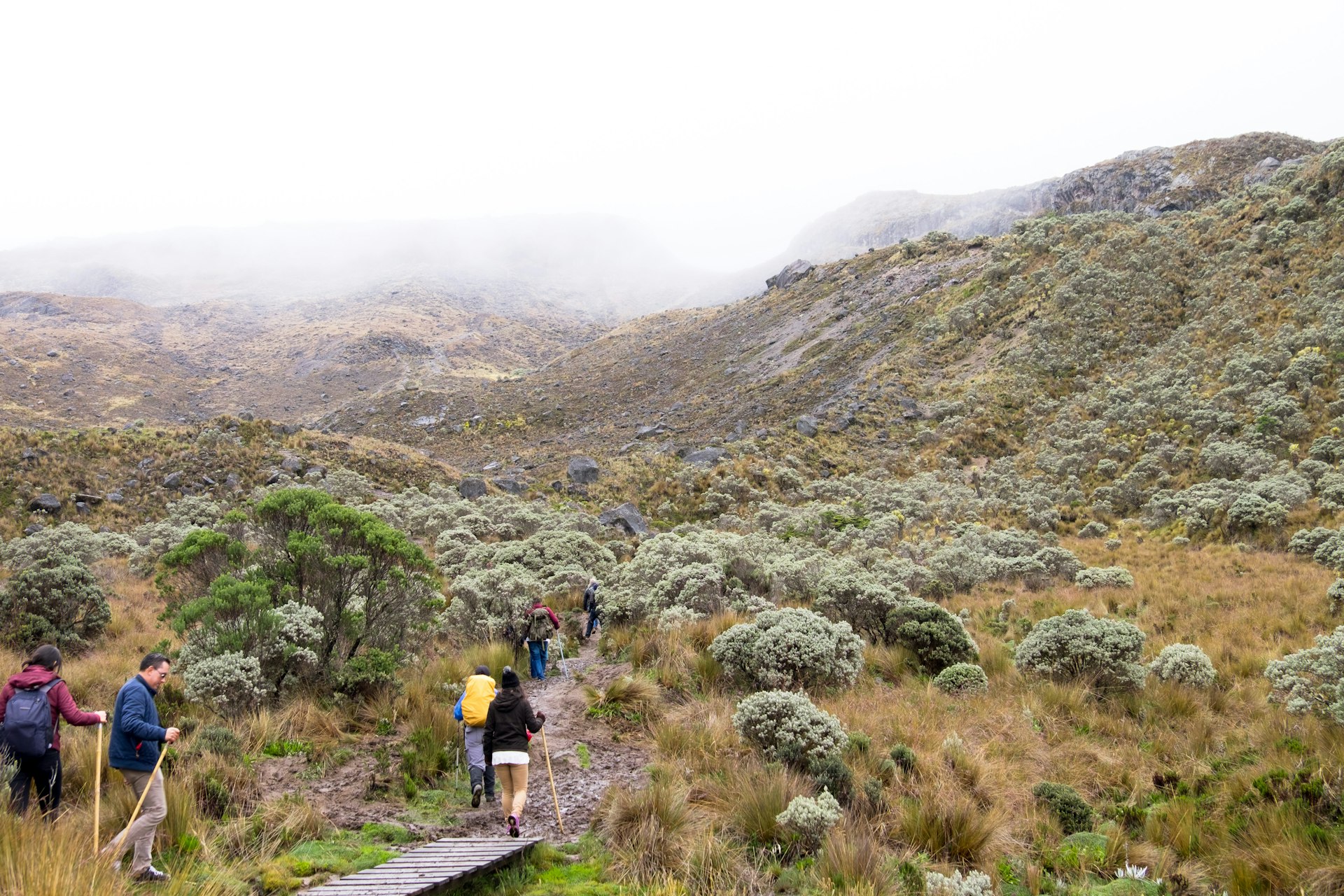 Four hikers on a misty trail in Nevados National Natural Park toward Santa Isabel Glacier