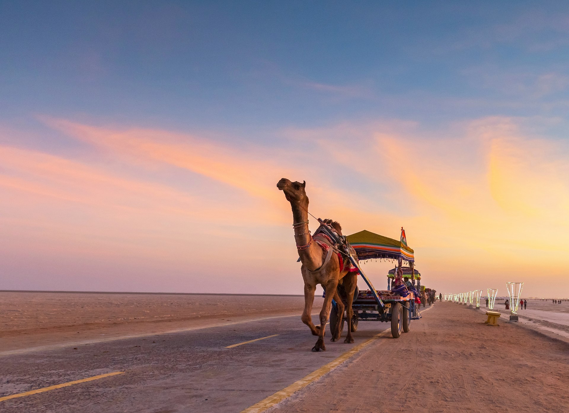 Camel cart on the road at Rann Utsav in Greater Rann of Kutch, Gujarat, India