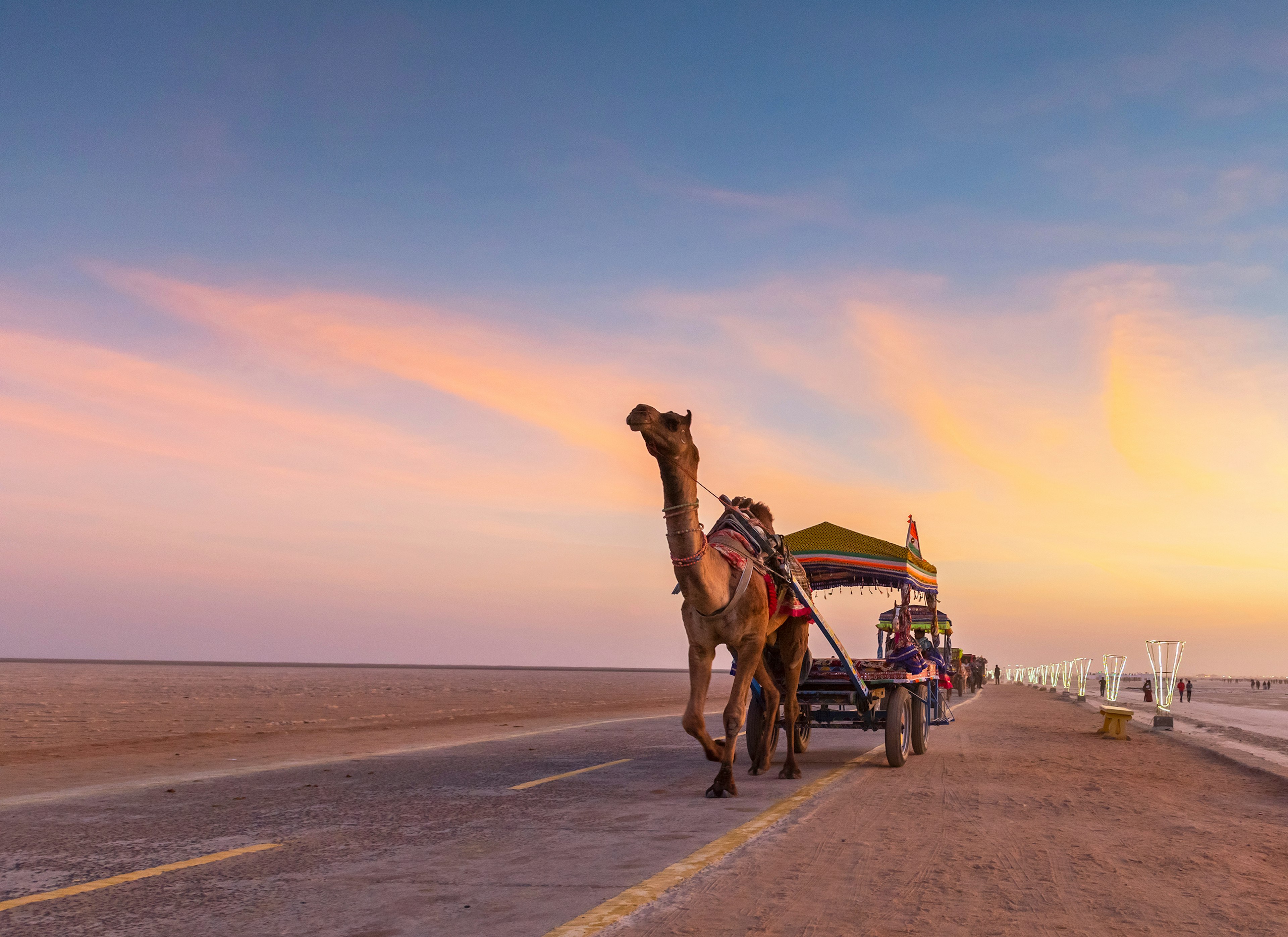 A camel draws a cart on a road through a desert landscape