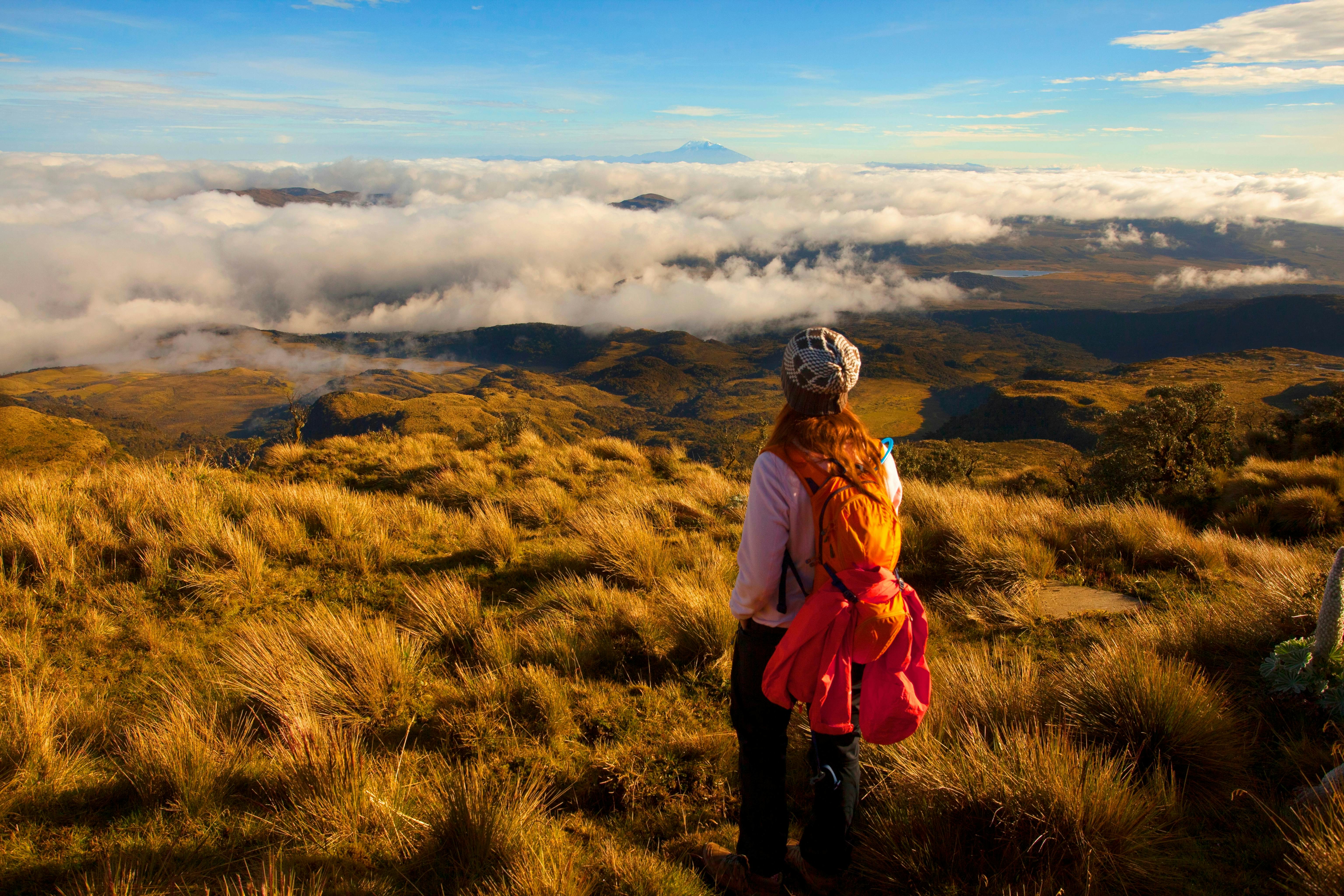 The best 9 national parks in Colombia