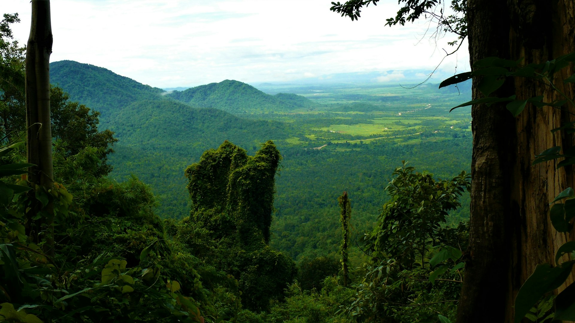 Panoramic view of the Cardamom Rainforest Landscape in the Cardamom Mountains, Cambodia
