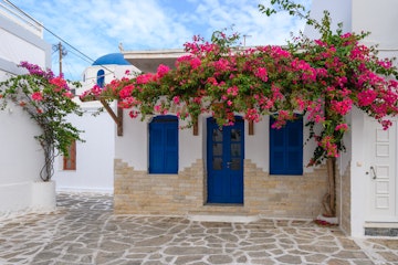 Greek house with blue doors and decorated with bougainvillea flowers on Antiparos island. Cyclades, Greece; Shutterstock ID 1950724600; your: Erin Lenczycki; gl: 65050; netsuite: Online Editorial; full: Destination