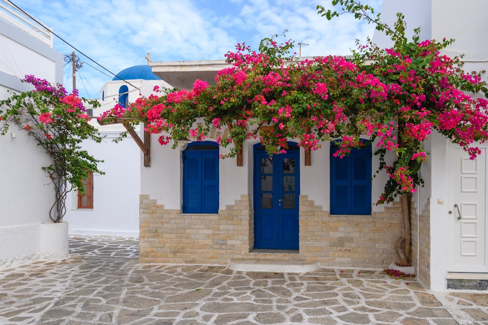 Greek house with blue doors and decorated with bougainvillea flowers on Antiparos island. Cyclades, Greece; Shutterstock ID 1950724600; your: Erin Lenczycki; gl: 65050; netsuite: Online Editorial; full: Destination