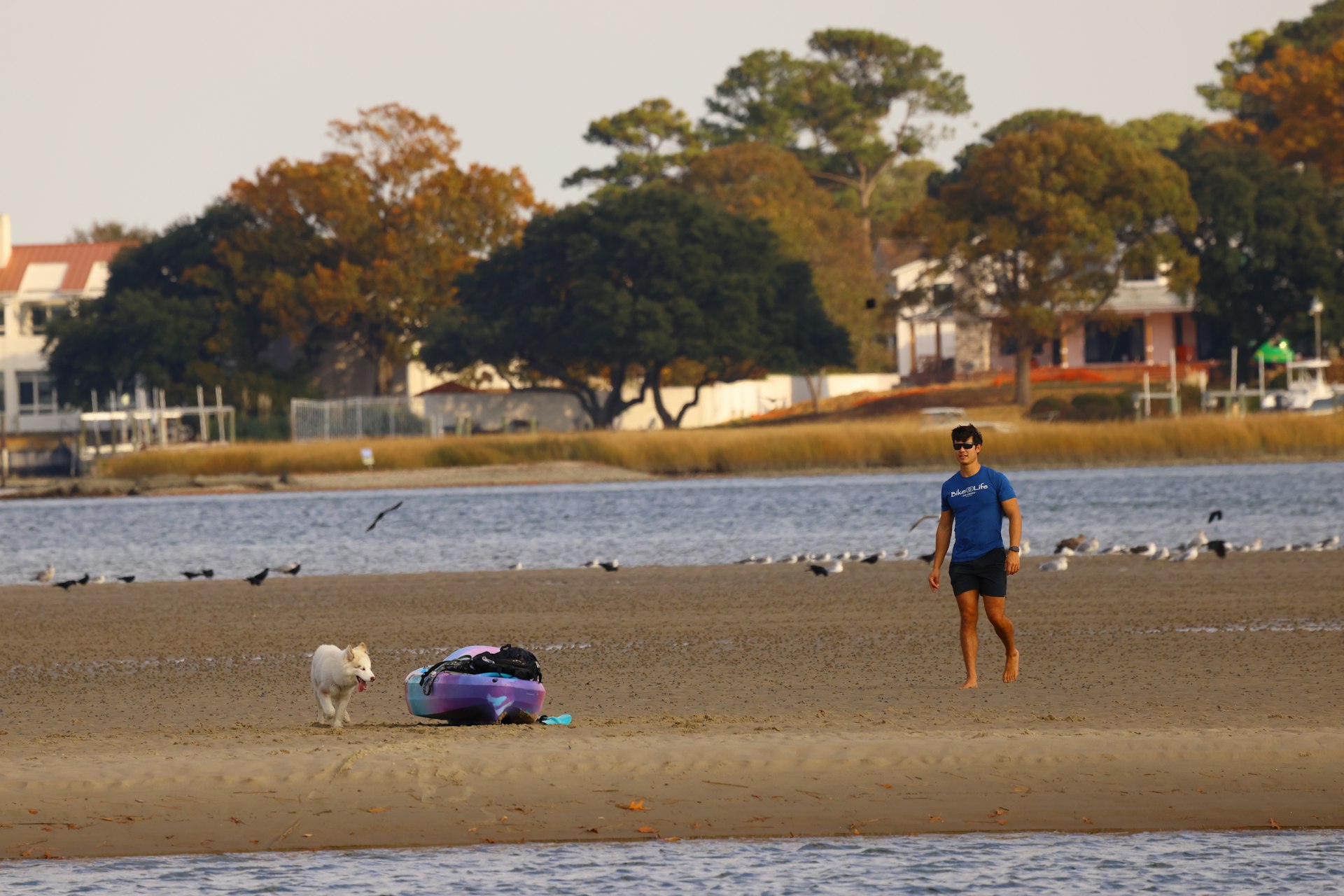 After paddling out to a sandbar and beaching his kayak, a young man enjoys playing with his dog on a a nice autumn afternoon