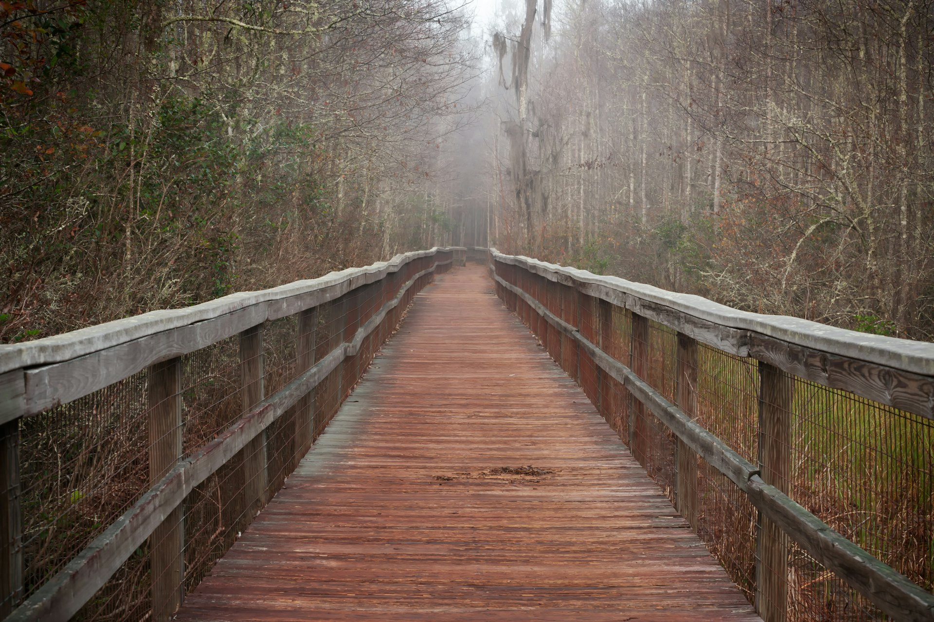 A long boardwalk trail through the mist at Grand Bay Swamp, Valdosta, Georgia