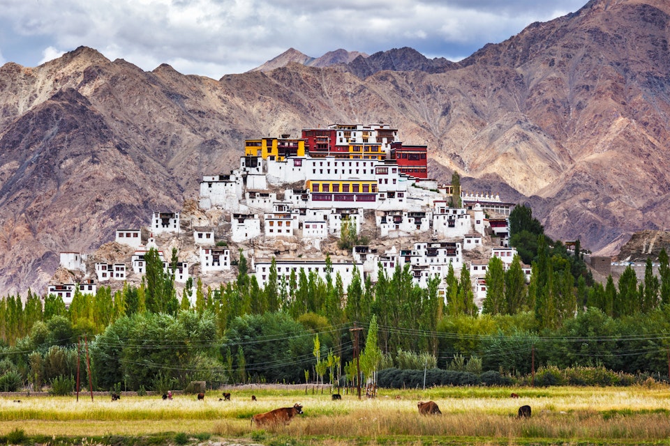 Thikse Gompa or Thikse Monastery (also transliterated from Ladakhi as Tikse, Tiksey or Thiksey) - Tibetan Buddhist monastery of the Yellow Hat (Gelugpa) sect. Ladakh, Jammu and Kashmir, India; Shutterstock ID 744715432; your: Brian Healy; gl: 65050; netsuite: Lonely Planet Online Editorial; full: Best places in India