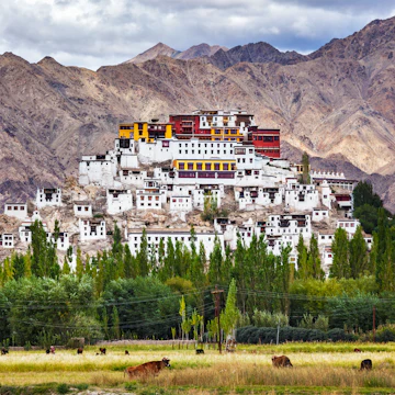 Thikse Gompa or Thikse Monastery (also transliterated from Ladakhi as Tikse, Tiksey or Thiksey) - Tibetan Buddhist monastery of the Yellow Hat (Gelugpa) sect. Ladakh, Jammu and Kashmir, India; Shutterstock ID 744715432; your: Brian Healy; gl: 65050; netsuite: Lonely Planet Online Editorial; full: Best places in India