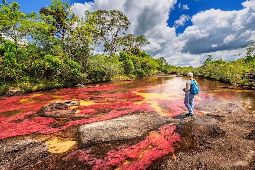 A hiker stops by the Cano Cristales (River of five colors), La Macarena, Meta, Colombia