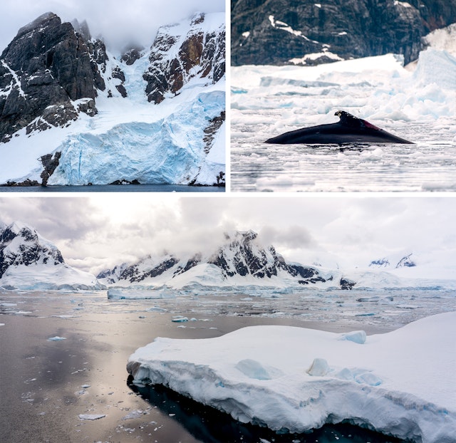 The Weddell Sea in Antartica