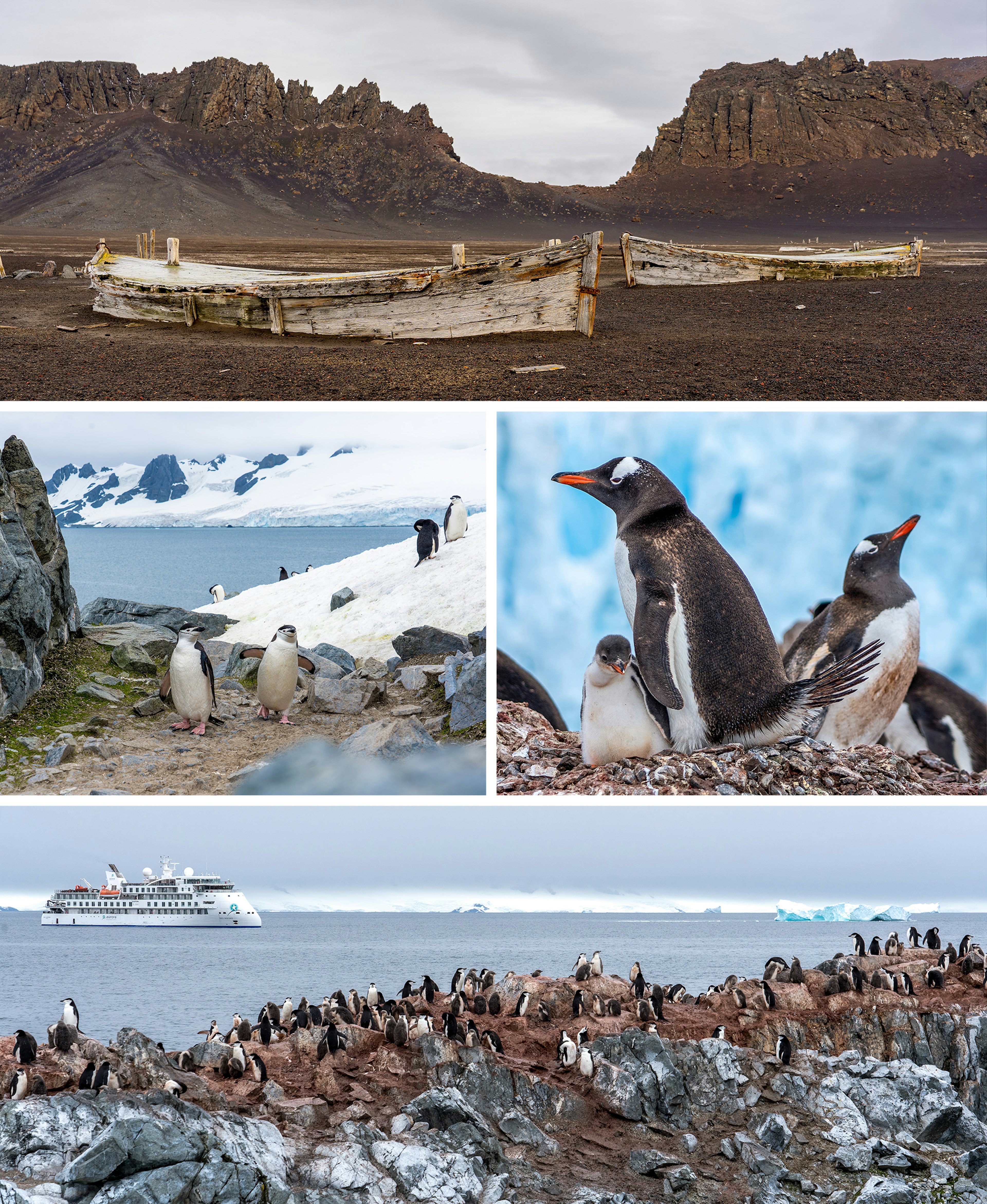 22-Antarctica-01315.jpg