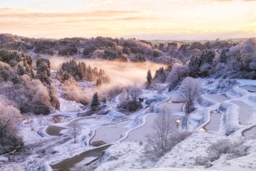 Terraced snow fields and misty forest in Niigata during sunrise.