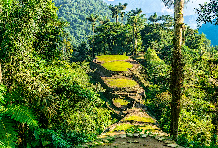 Colombian jungle The rainforests of Colombia are in full bloom during October