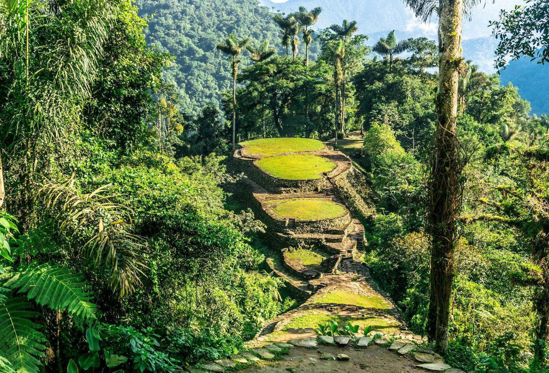 The rainforests of Colombia are in full bloom during October