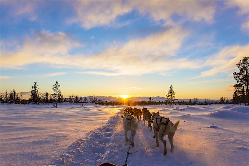 Slitte trainate da cani con husky nel bellissimo tramonto in Groenlandia