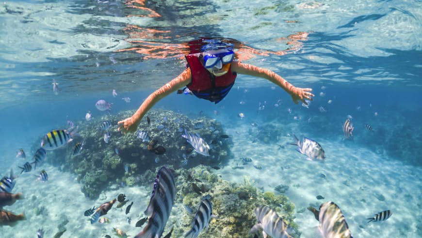 Boy snorkeling near a coral reef in Egypt; he's looking under the water at striped angel fish