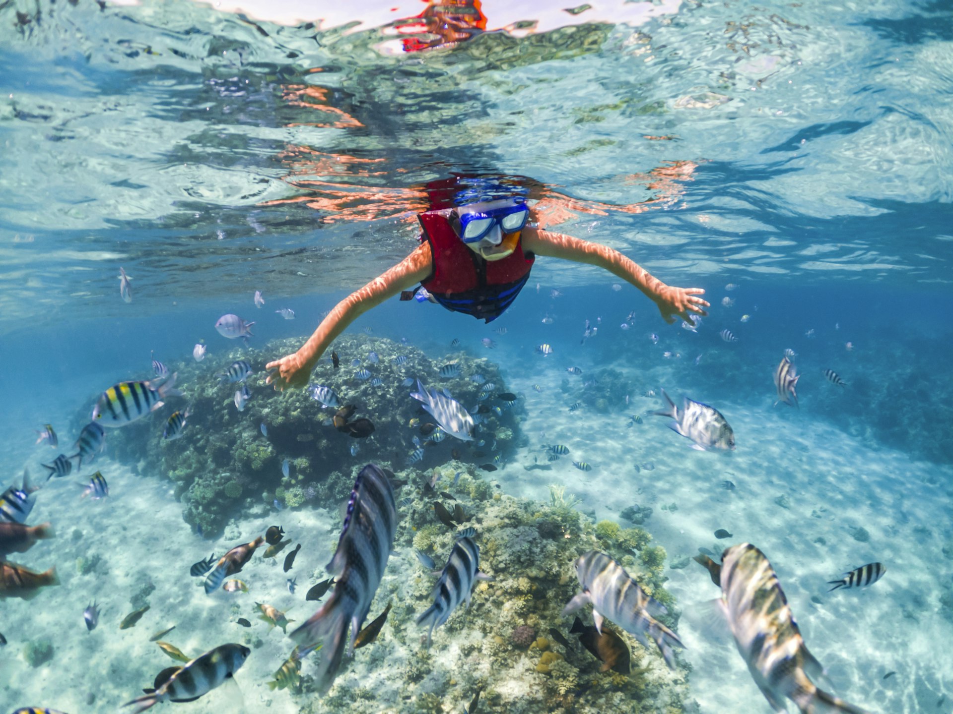 Boy snorkeling near a coral reef in Egypt; he's looking under the water at striped angel fish