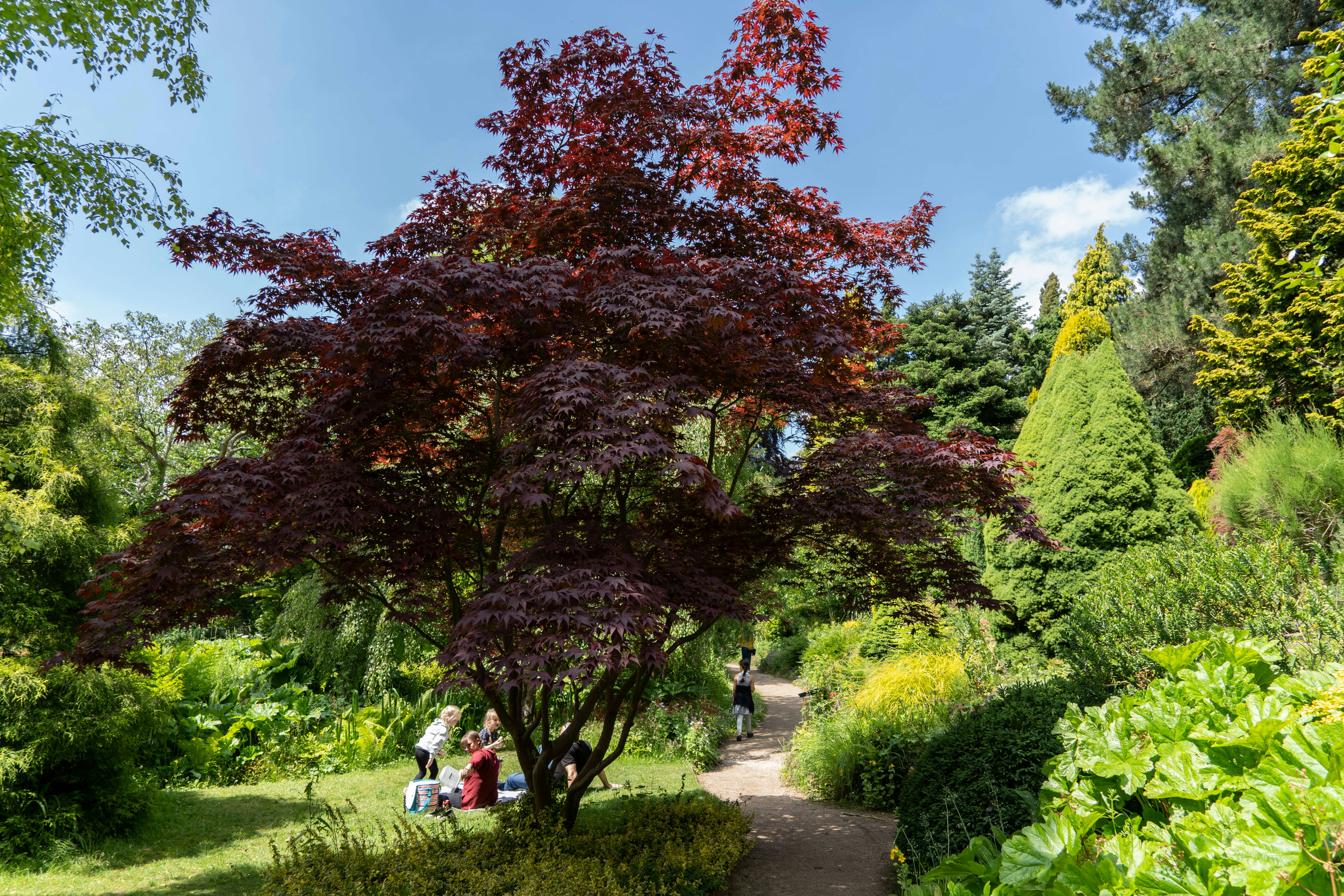 Families enjoy the sunshine at Fletcher Moss Park and Botanical Garden, Manchester, UK