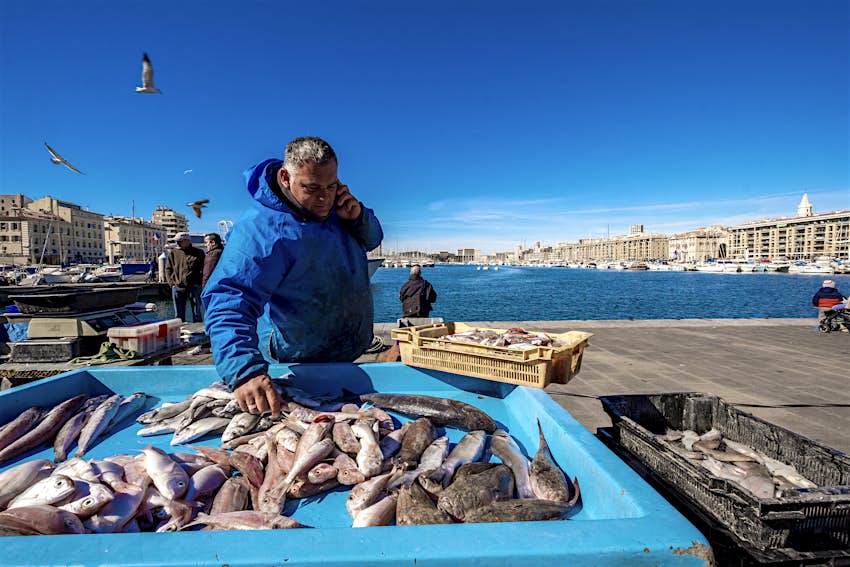 Fisherman´s market in Marseille Man on phone selling fish at a harbor front market in Marseille