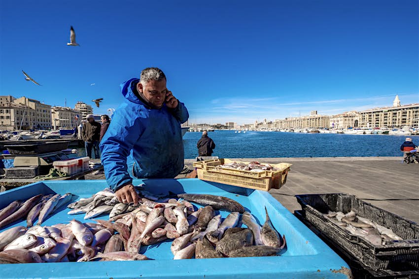 Man on phone selling fish at a harbor front market in Marseille