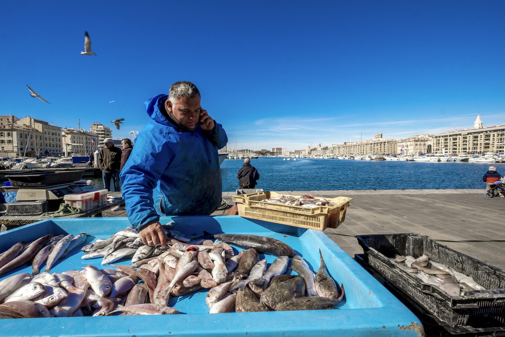 Man on phone selling fish at a harbor front market in Marseille