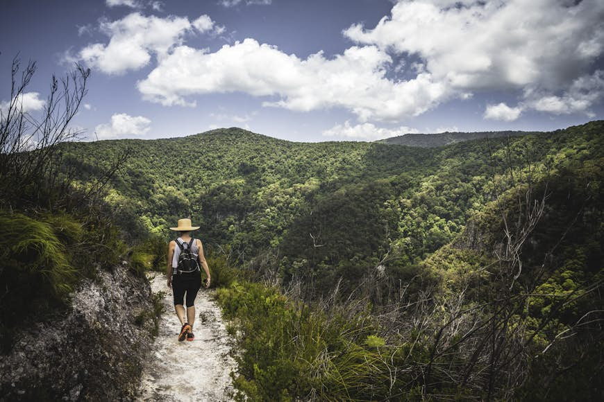 Hiking Binna Burra, on the Dave's Creek Circuit walking track, Queensland, Australia