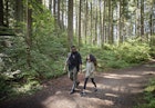 A man holds his curly-haired daughter's hand as they walk together on a sunlit forest trail