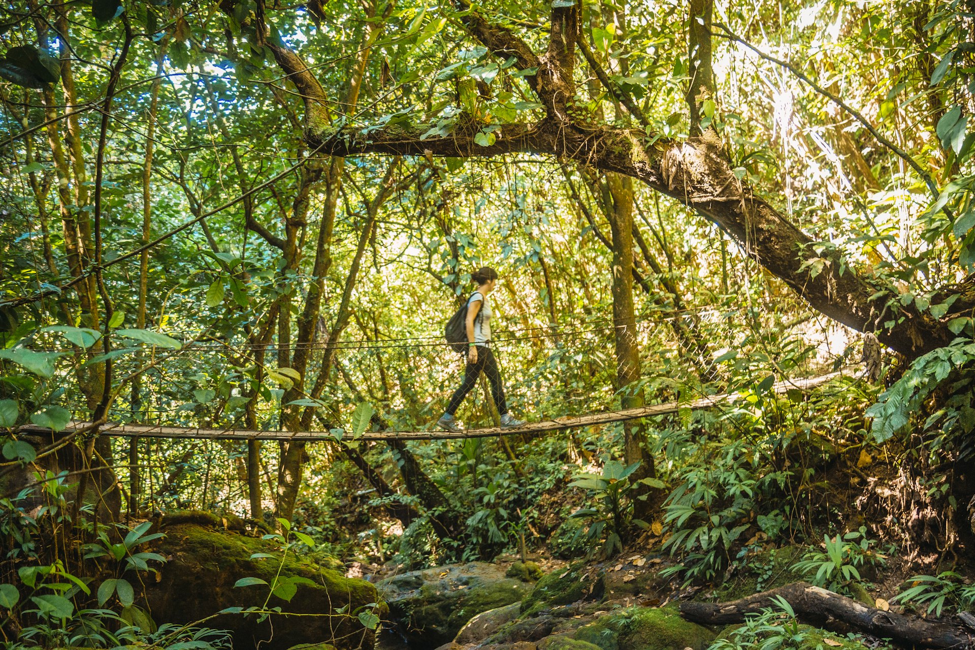 A woman walks across a suspension footbridge in the jungle of Cerro Azul Meambar National Park (PANACAM), Yojoa, Honduras, Central America