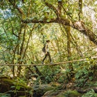 A young girl on a wooden bridge of the Cerro Azul Meambar National Park (Panacam) in Yojoa. Honduras