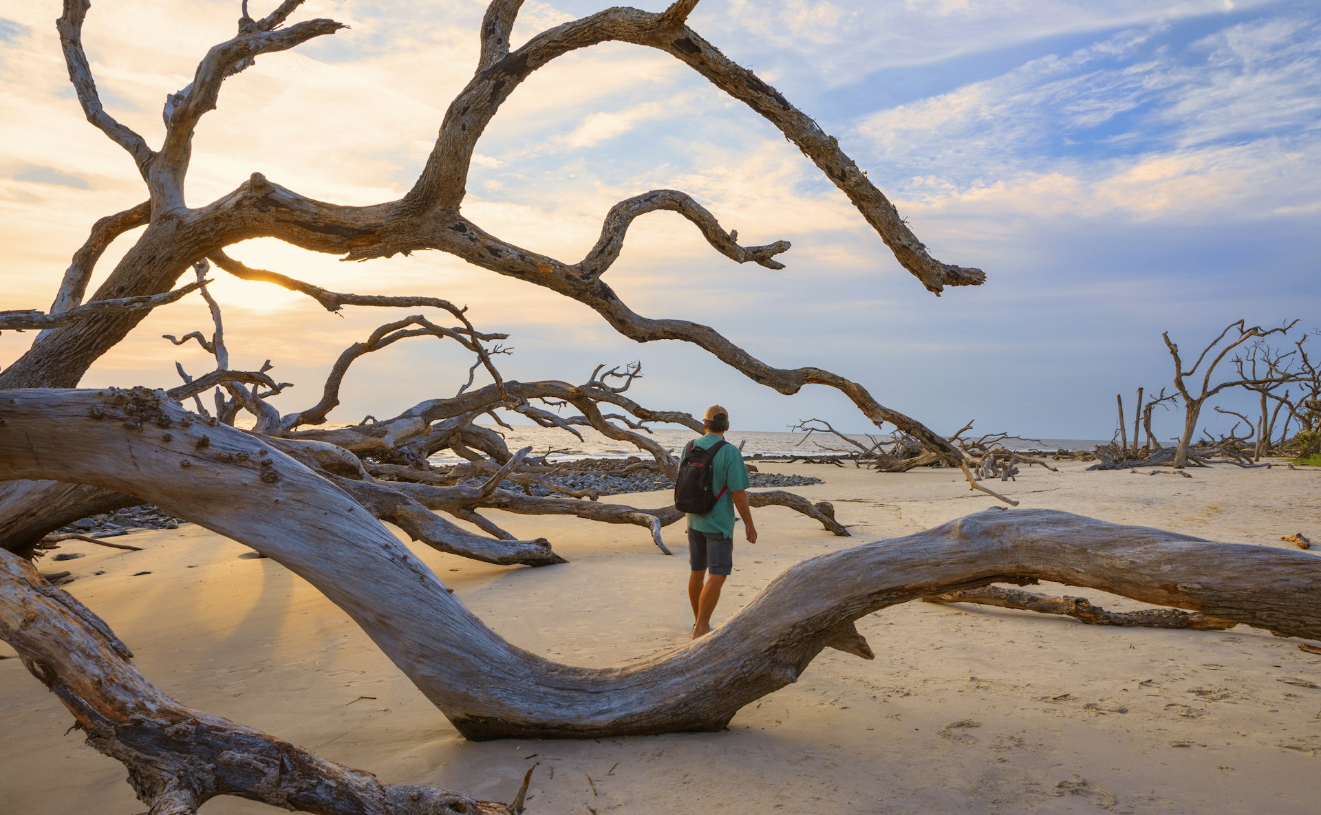 Hiker enjoying a walk on Driftwood Beach on Jekyll Island, Georgia