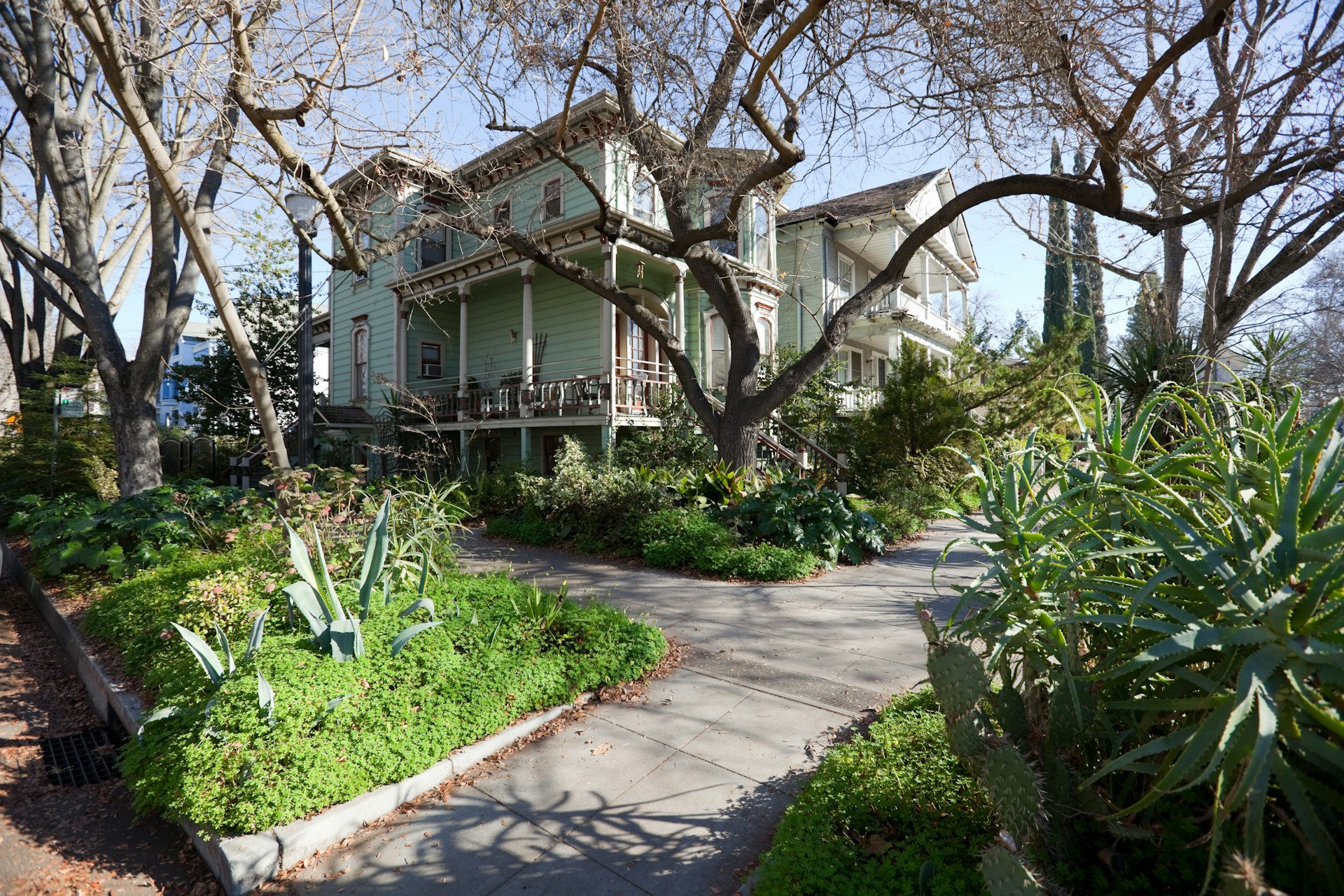 Wooded Victorian houses with porches, with trees and succulent plantings by the sidewalk on a street in Midtown, Sacramento, California, USA