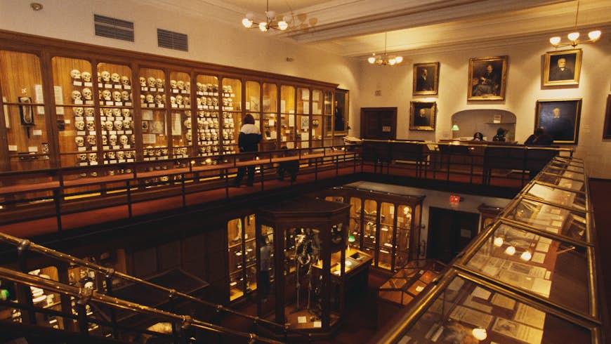 Inside the Mütter Museum, Philadelphia