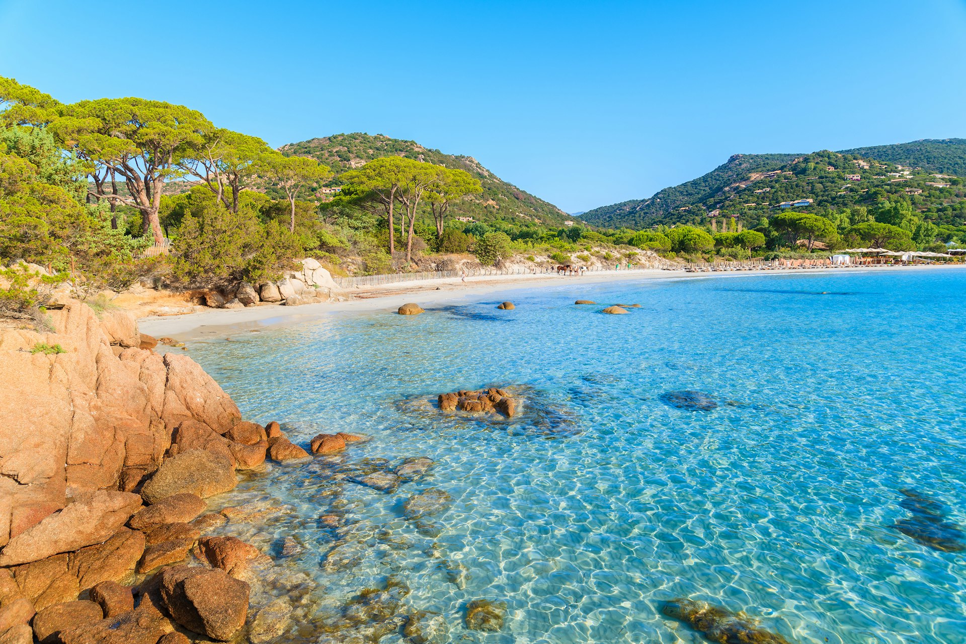 A view of Palombaggia beach on Corsica lapped by crystal clear water