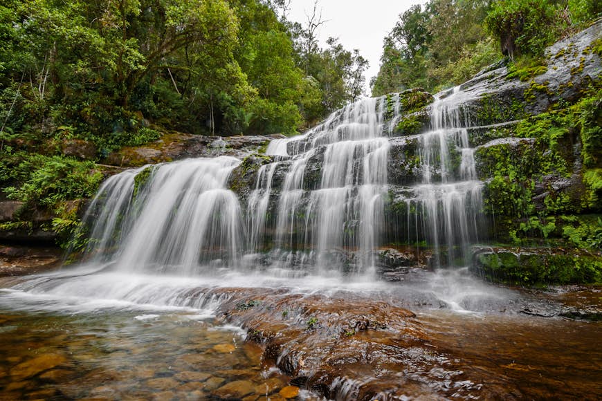 Liffey Falls, Great Western Tiers, Midlands, Tasmania, Australia