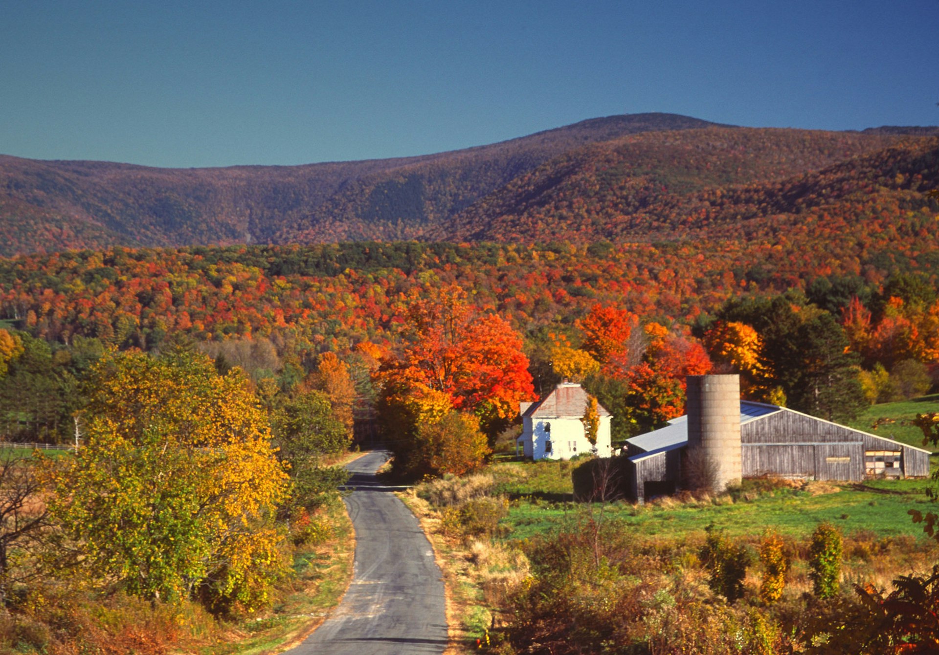 Fall colors in The Berkshires, Massachusetts, with Mt Greylock in the background