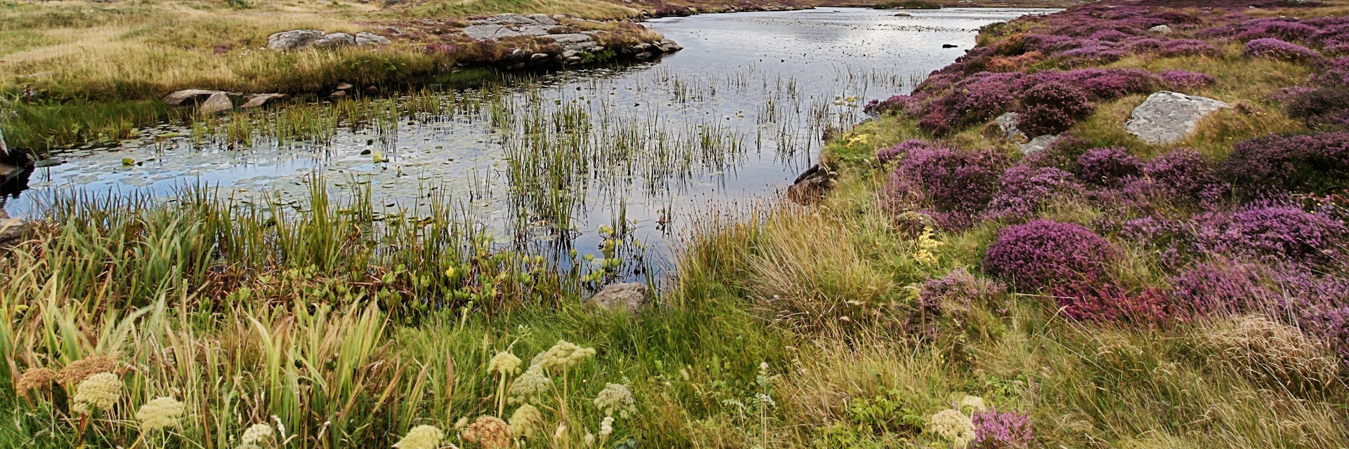 Moorland near Daliburgh in South Uist, The Outer Hebrides