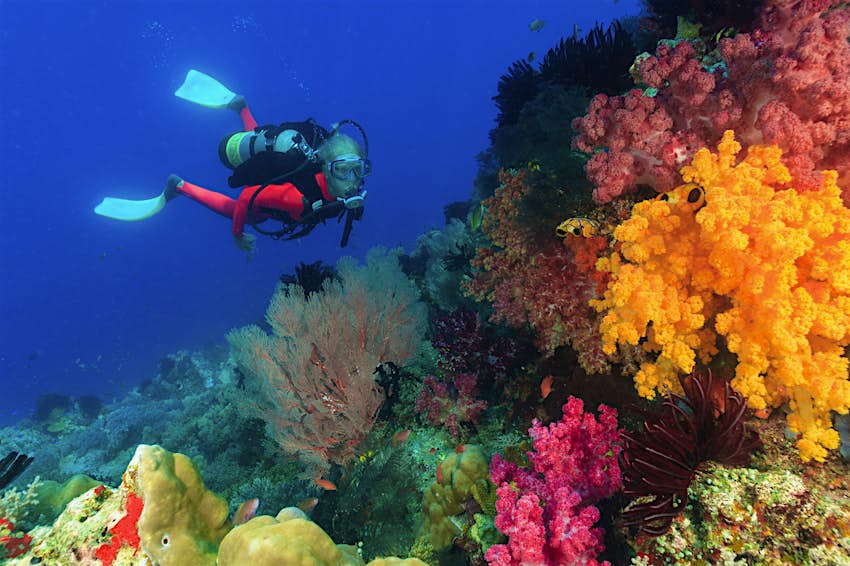 Diver exploring a coral reef off the coast of Papua in Indonesia