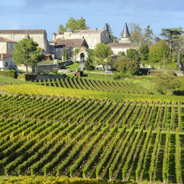 Vineyards of Saint Emilion, Bordeaux Vineyards