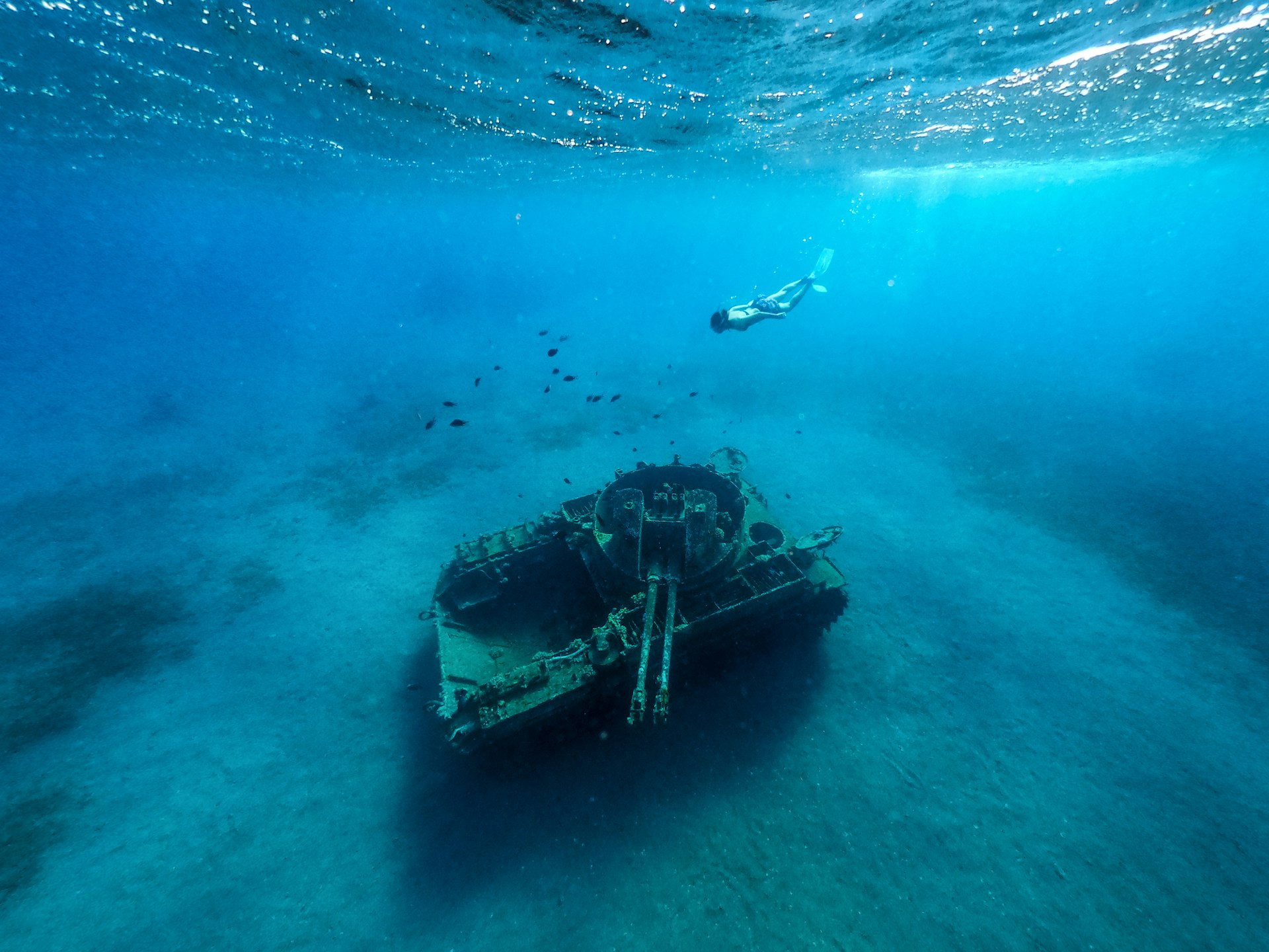 A snorkeler dives downwards towards the wreck of a tank that has been placed at the bottom of the sea