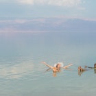Lovely girls floating in salty water of Dead Sea and with Arms outstretched . Unusual buoyancy caused by high salinity.